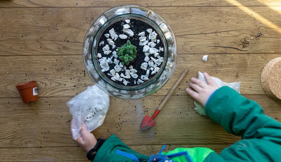 planten-voor-kinderen-3 EcoWorld pour les enfants