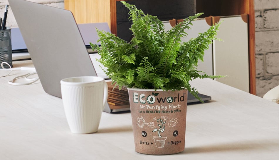 vergroen-je-werkplek-1 EcoWorld votre lieu de travail plus écologique