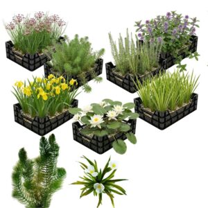 Inheems Waterplanten Pakket 10.000-15.000L