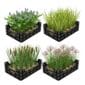 Plantas acuáticas , 4 unidades