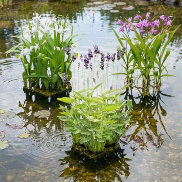 Confezione 26 Pezzi Pesi E Anelli Fissi Per Piante Acquatiche – Ancore Per Acquario, Vaso Per Piantumazione