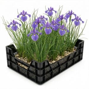 Blauer Iris-Teichkorb