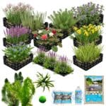 Compleet Vijverpakket Multi 10.000L+ (1) (3) Paquete completo para estanque Multi 10 000 L+ (1) (3)
