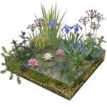 Compleet plantenfilter pakket Paquete completo de filtro vegetal