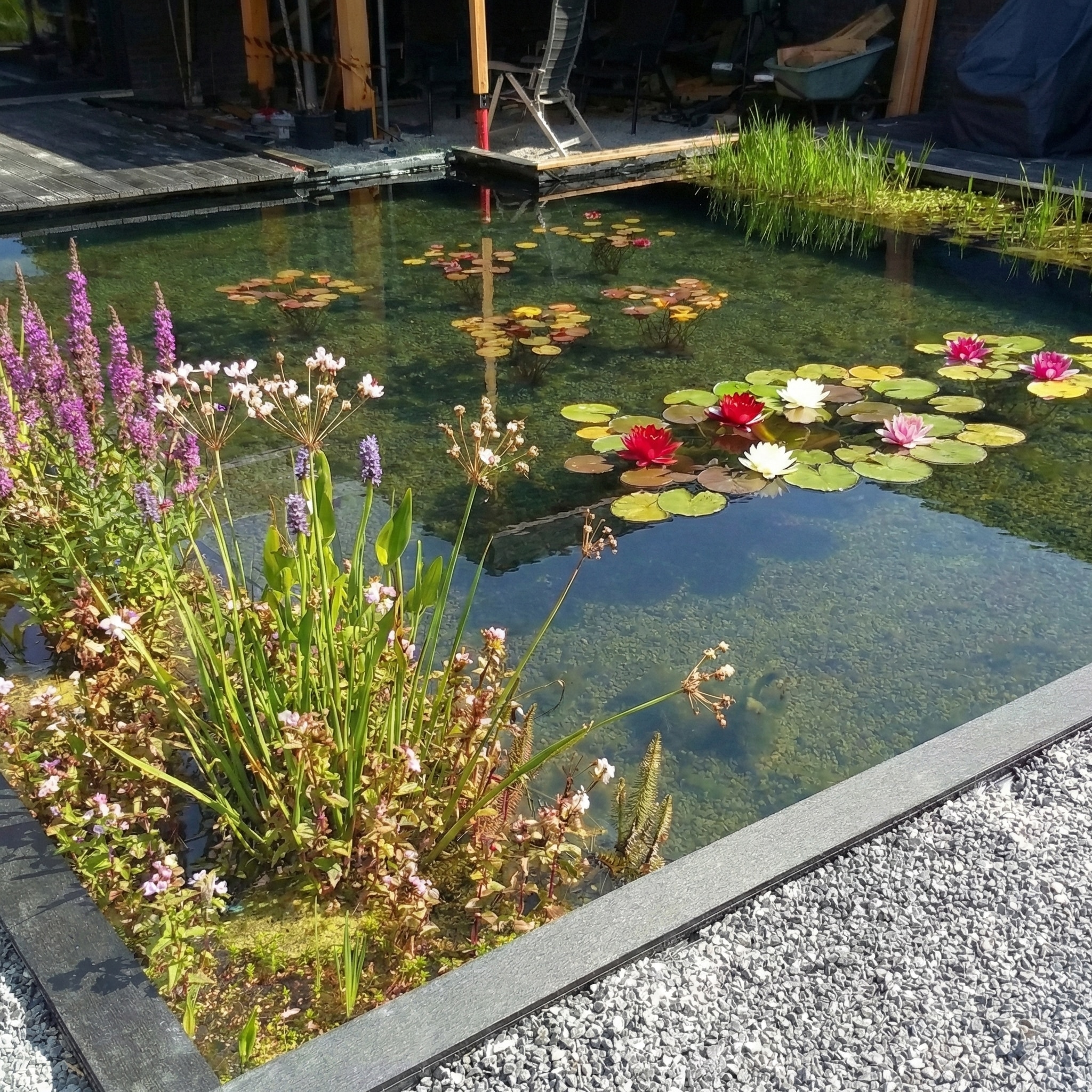 Lago para nadar después de