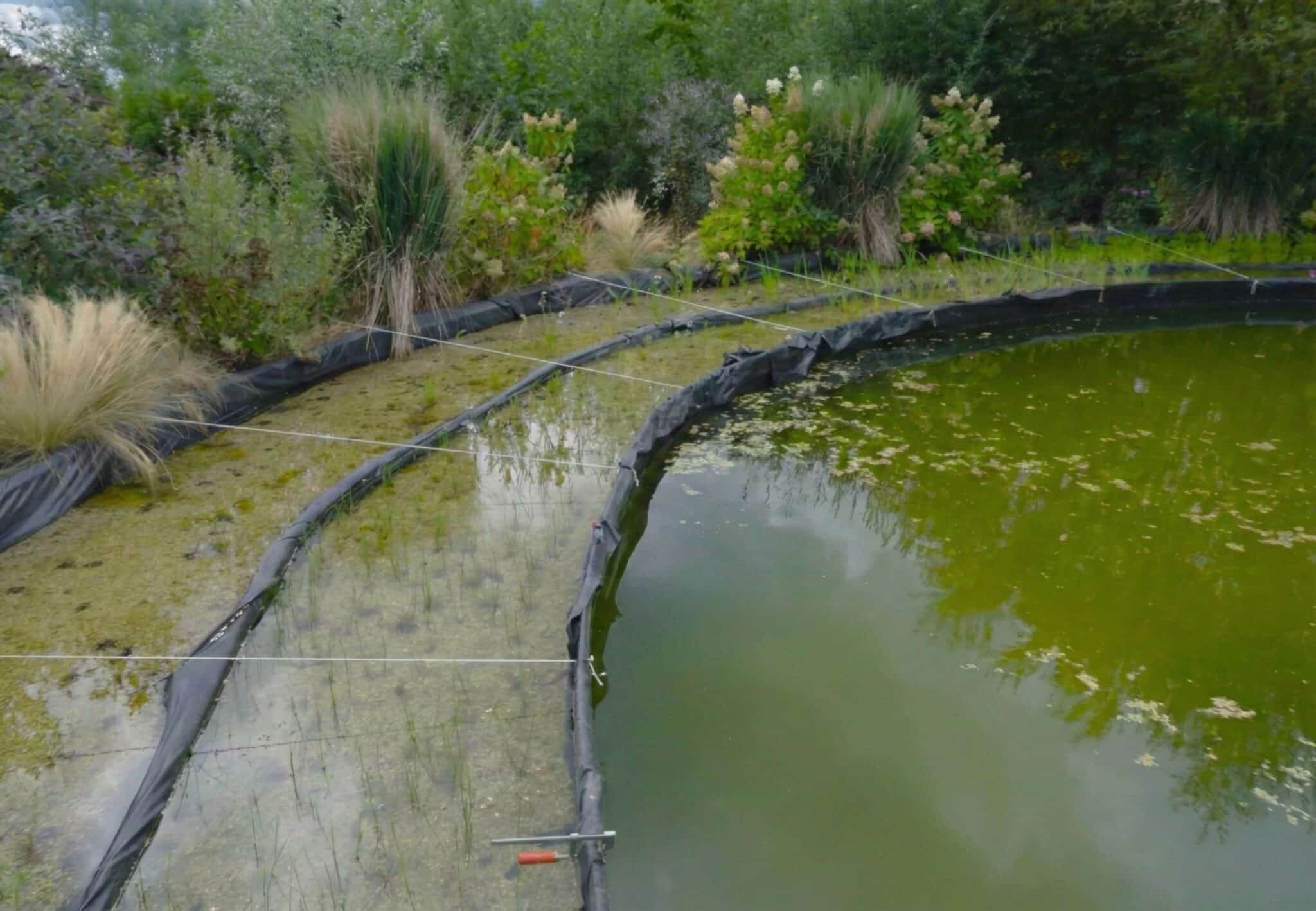 Johan zwemvijver Lago para nadar Johan