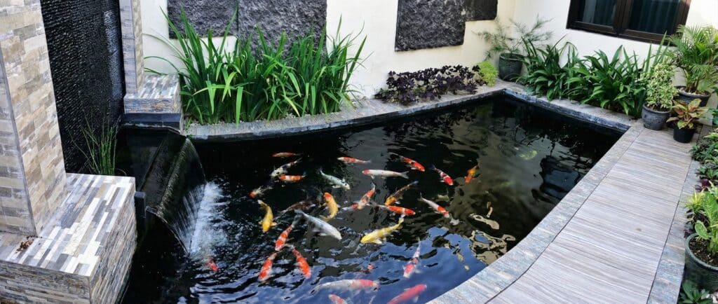 Sem plantas no lago