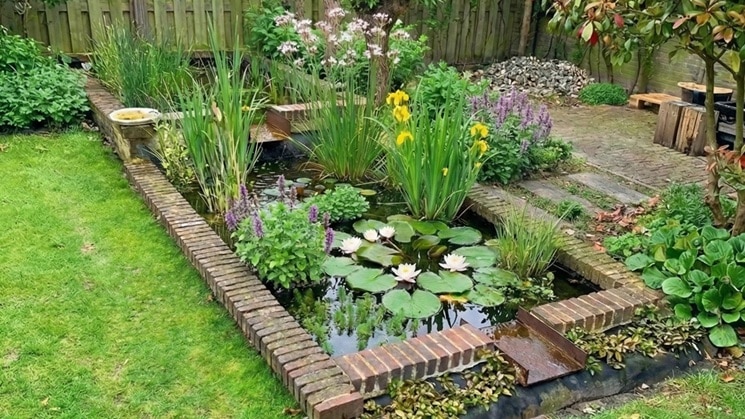 Tuinvijver Pieter Tuinvijver Pieter