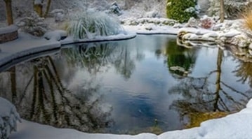 Vijver winterklaar maken Vijver winterklaar maken