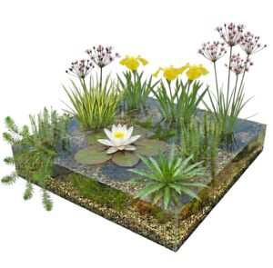 Complete Native Pond Kit1.250