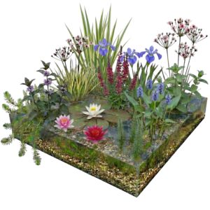 Komplettes Pflanzenfilter-Set für 8–12 m²