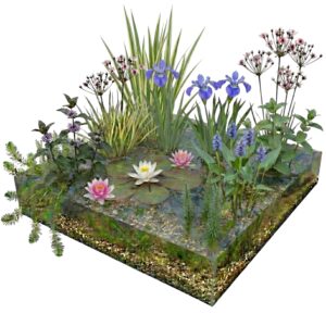 Komplettes Pflanzenfilter-Set für 4–7 m²