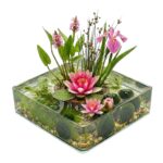Komplettes Teichpaket 25–90 l