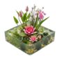 Conjunto completo para lagoa Rosa 25-90 L