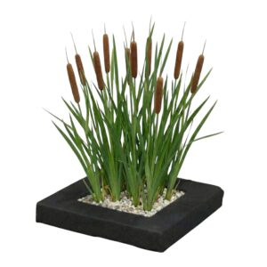 Planteøen Typha