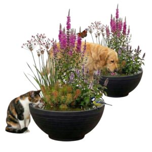 PET POND 2 stk. Udendørs vandskål til hunde, katte og fugle