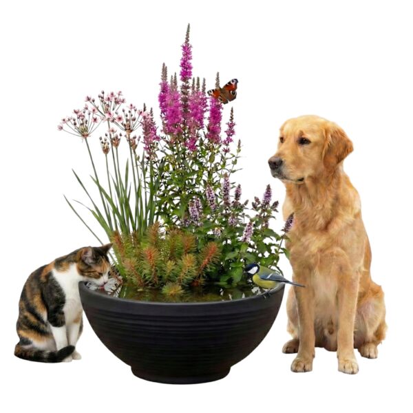 PET POND Outdoor-Wassernapf fr Hunde, Katzen und Vgel  vdvelde.com