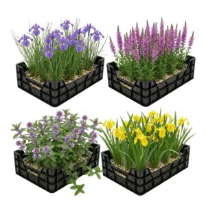Moerasplanten Vijverkratten 4 stuks