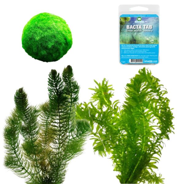 Algae Control Kit1.250