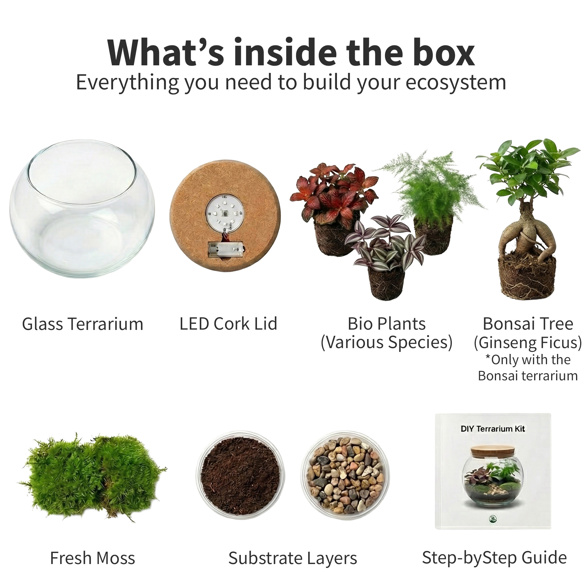 bonsai mix 100% Organic Bonsai, Succulent, Cactus Soil Mix  Nutrient Rich, Well-   Houseplant Resource Center