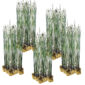 Equisetum plantas