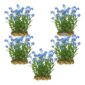 Moerasvergeet mij nietje 100 planten