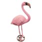 Nep Flamingo