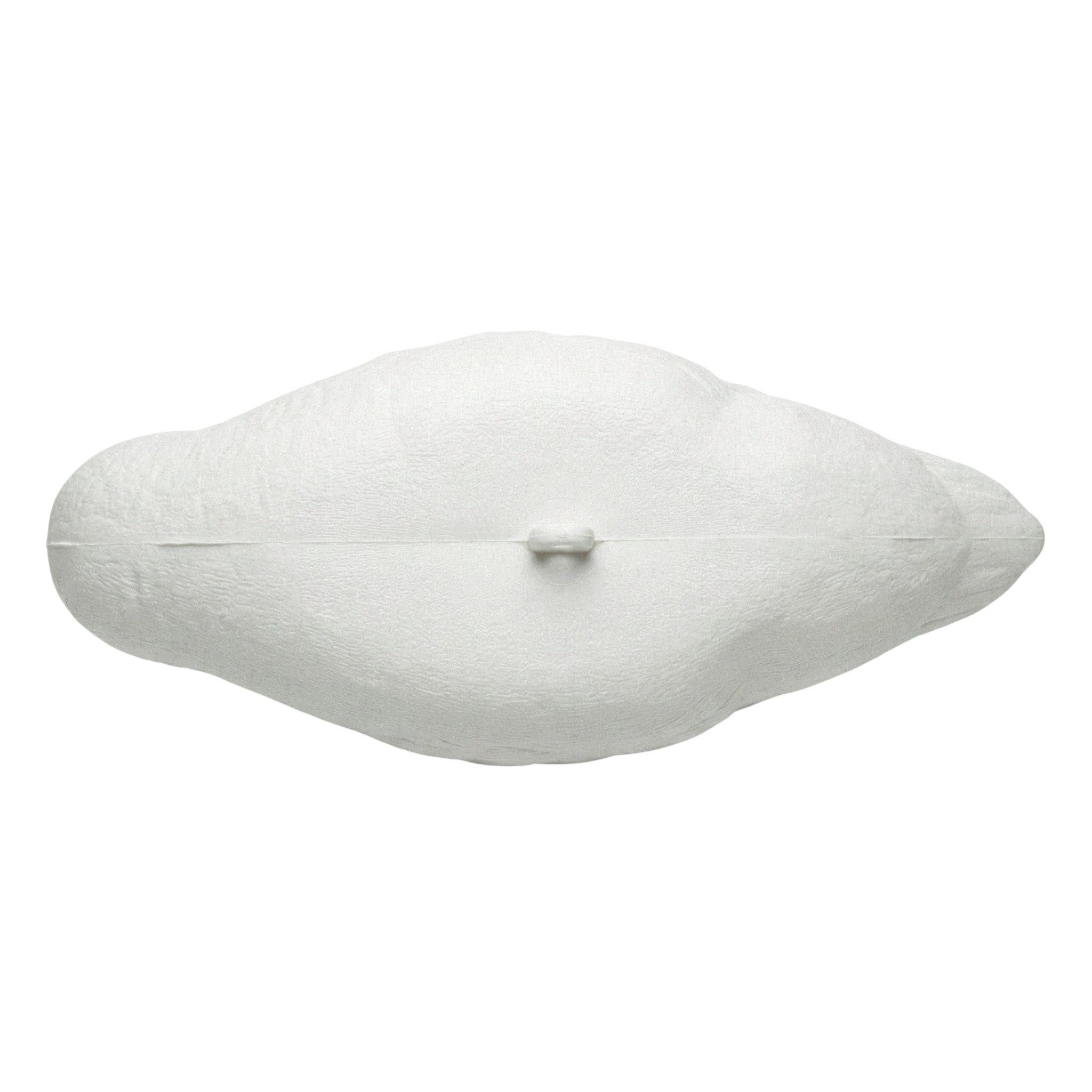Fake Swan - vdvelde.com