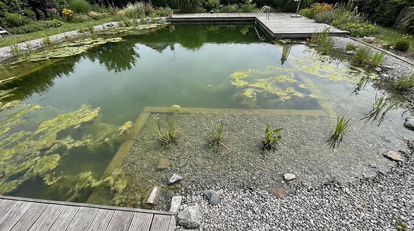 Poucas plantas no lago