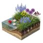 AQUA BULBS Wild Mix - Cuckoo Flower Bulbs