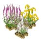 Natuurvriendelijke Oever Planten 2-3 m2