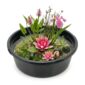 Complete Ingegraven Mini Vijver Rond - Roze