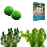 Algen Bestrijden Pakket 3.500-6.000L
