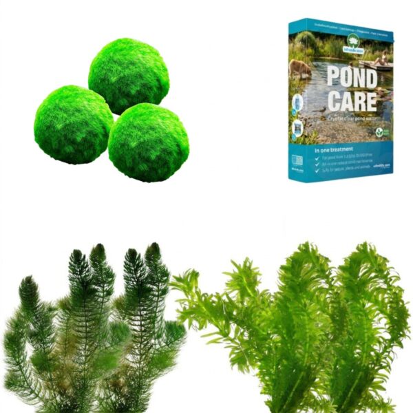 Algen Bestrijden Pakket 6.500-10.000L Algen Bestrijden Pakket 6.500-10.000L