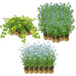 Natte Vijverrand Planten 8-12m2