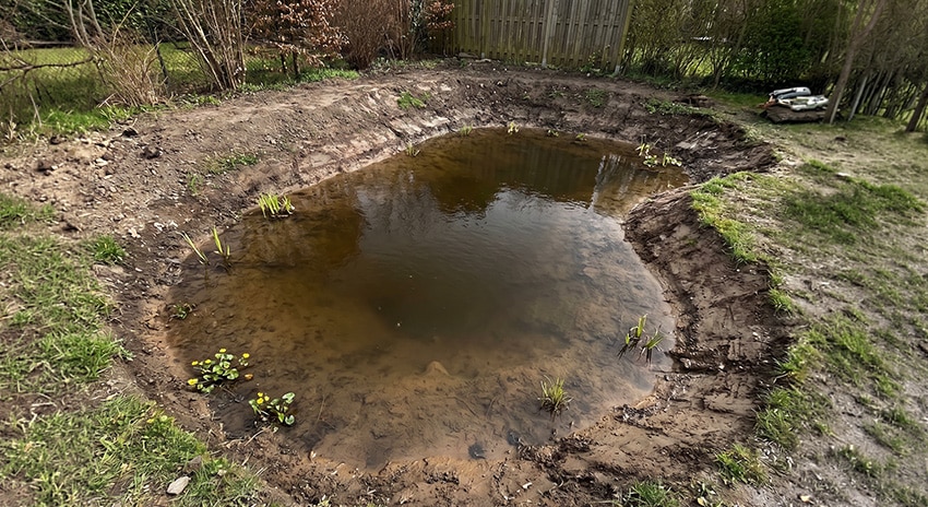 natuurlijke-vijveroever-aanleggen Progettare la zona del litorale