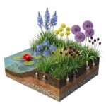 AQUA BULBS Bee Mix – Bee Flower Bulbs