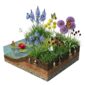AQUA BULBS Butterfly Mix - Butterfly Flower Bulbs