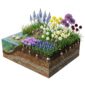 AQUA BULBS Trio - Cuckoo Flower