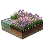 AQUA BULBS Pink Mix – Lyserøde blomsterløg