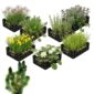 Inheems Waterplanten Pakket 10.000-15.000L