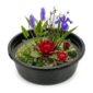 Complete Ingegraven Mini Vijver Rond - Rood