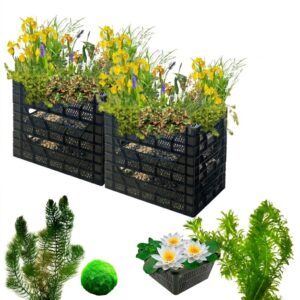 Biofiltro a 2 torri + piante ossigenanti e Ninfee