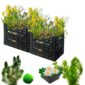 Biofilter 2 torens + Zuurstofplanten en Waterlelies