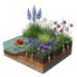 AQUA BULBS Bee Mix - Bulbos de flores para abejas