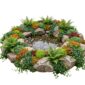 Plantas para bordes de estanques secos, 4-7 m²