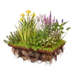COCO FLOAT Planteneiland 60x40cm