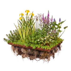 COCO FLOAT Planteneiland 60x40cm
