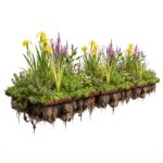 COCO FLOAT Planteneiland 168x38cm