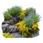 Plantas para la orilla húmeda de un estanque, 2-3 m²